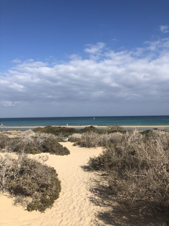 Strand SBH Fuerteventura Playa