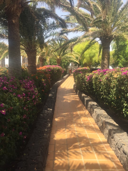 Gartenanlage Relaxia Olivina