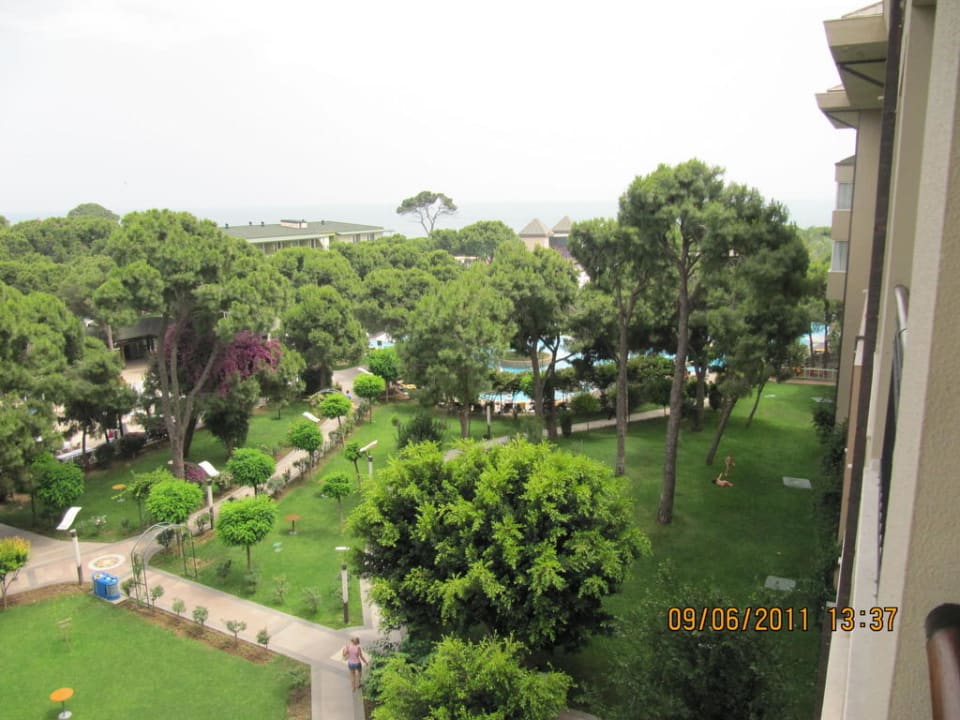 Widok z pokoju Papillon Ayscha