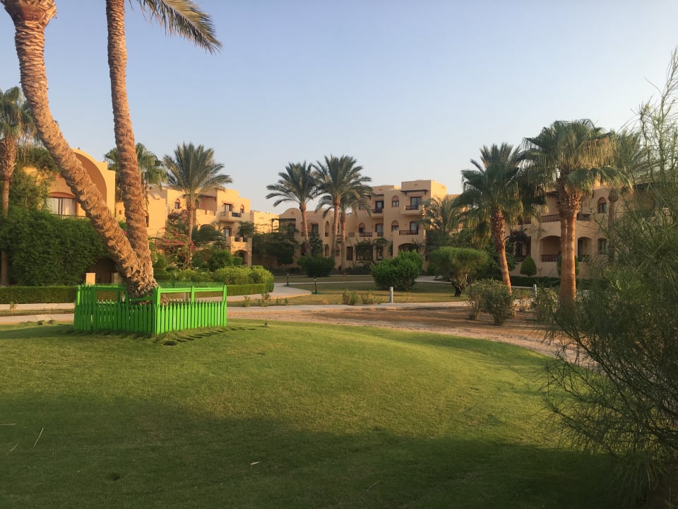 Gartenanlage Steigenberger Coraya Beach - Adults only