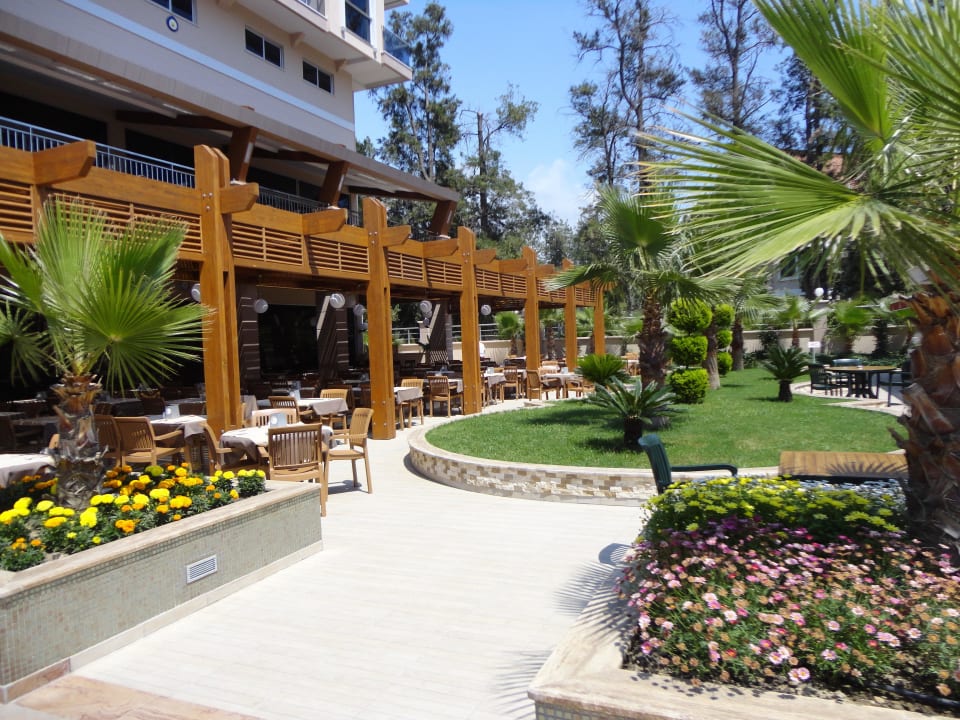 Super Dizalya Palm Garden