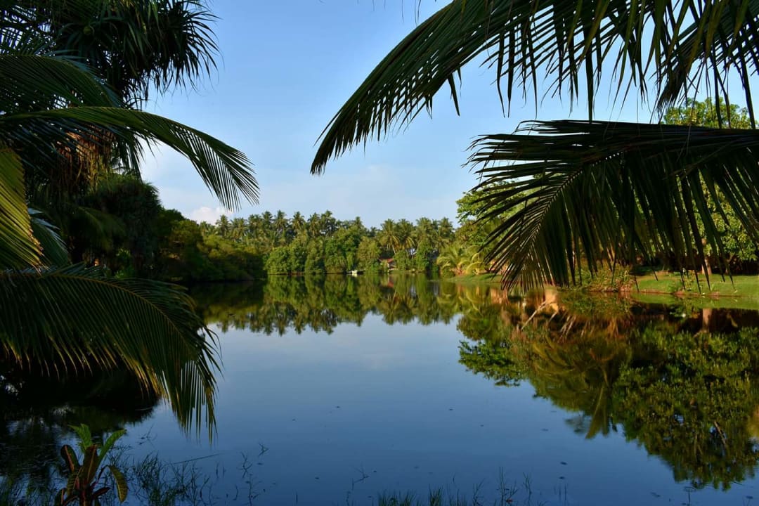 Ausblick Club Palm Bay