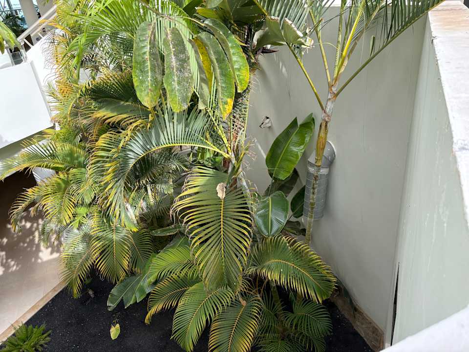 Ausblick Barceló Fuerteventura Mar