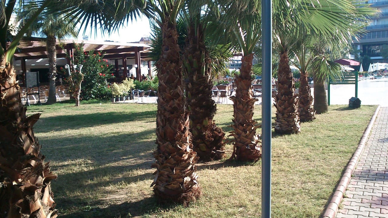 Von den Rutschen kommend in Richtung Blue Bar  Hotel Royal Garden Beach