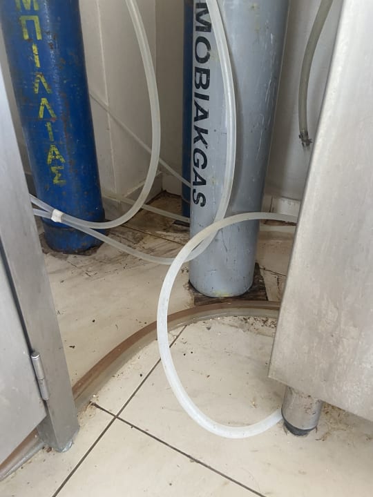 Gastro TUI SUNEO Chrissi Amoudia