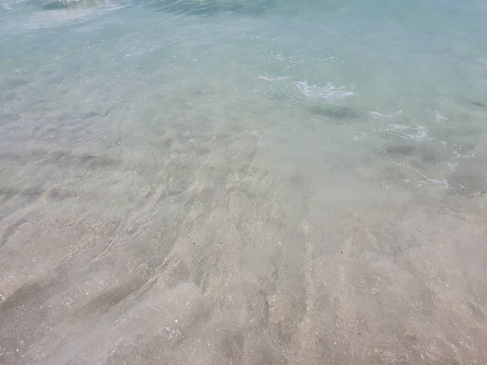 Strand Rixos Premium Saadiyat Island