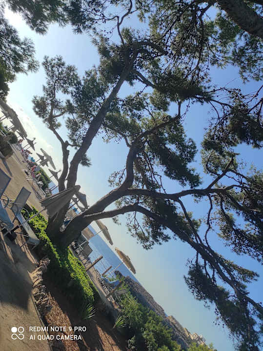 Gartenanlage JS Cape Colom - Adults only