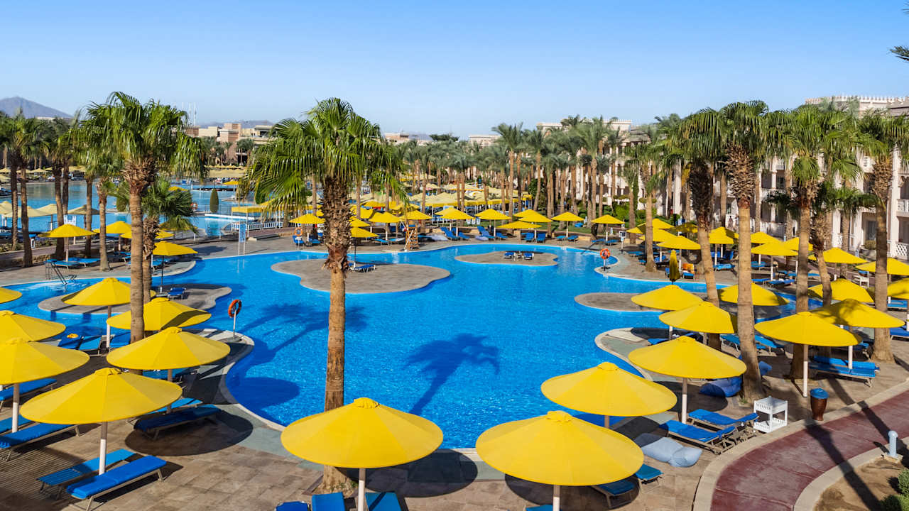 Pool Pickalbatros Palace Resort