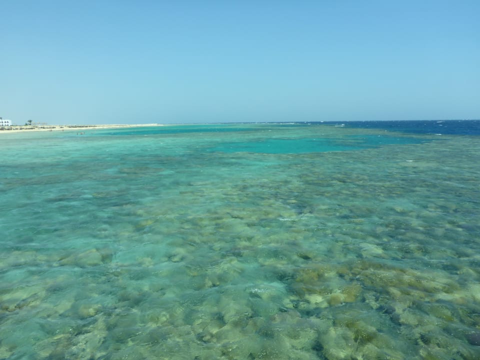 Strand Hotel Gorgonia Beach Resort