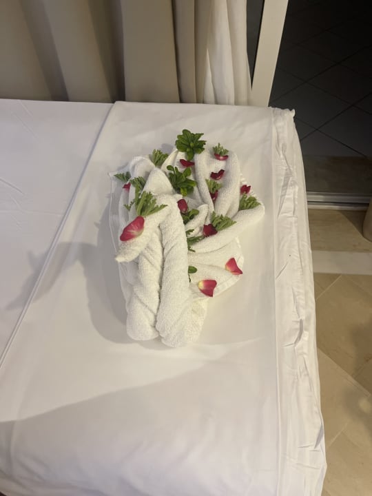 Zimmer TUI MAGIC LIFE Africana