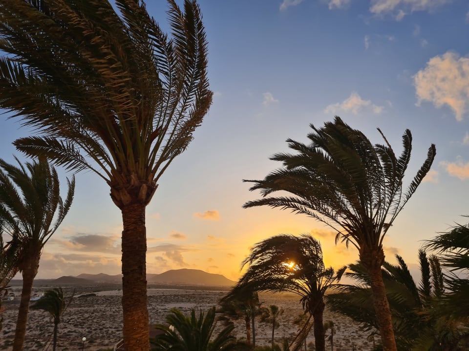 Ausblick Hotel Riu Palace Tres Islas