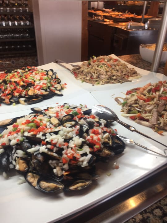 Gastro Relaxia Olivina