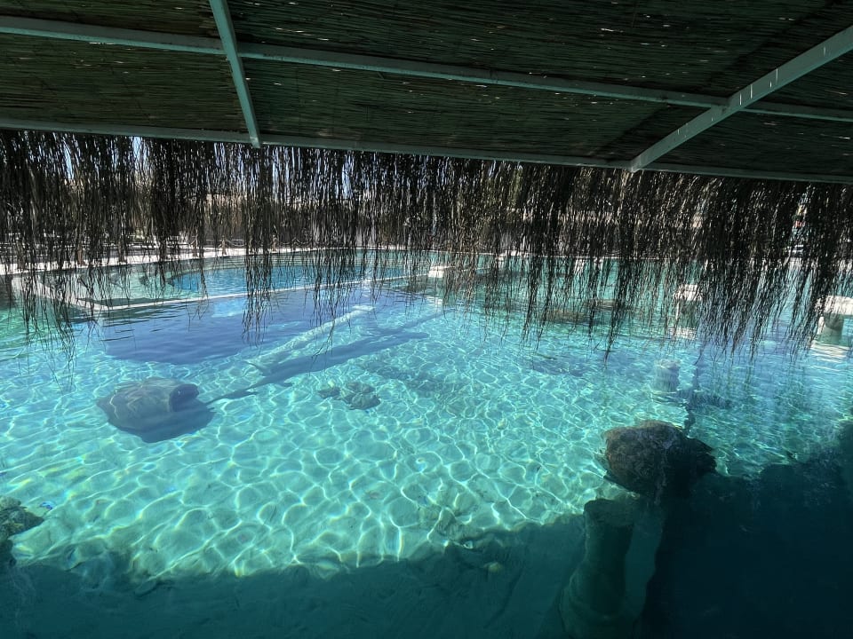 Pool Miarosa Kemer Beach