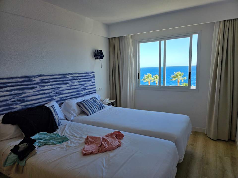 Zimmer blau punta reina