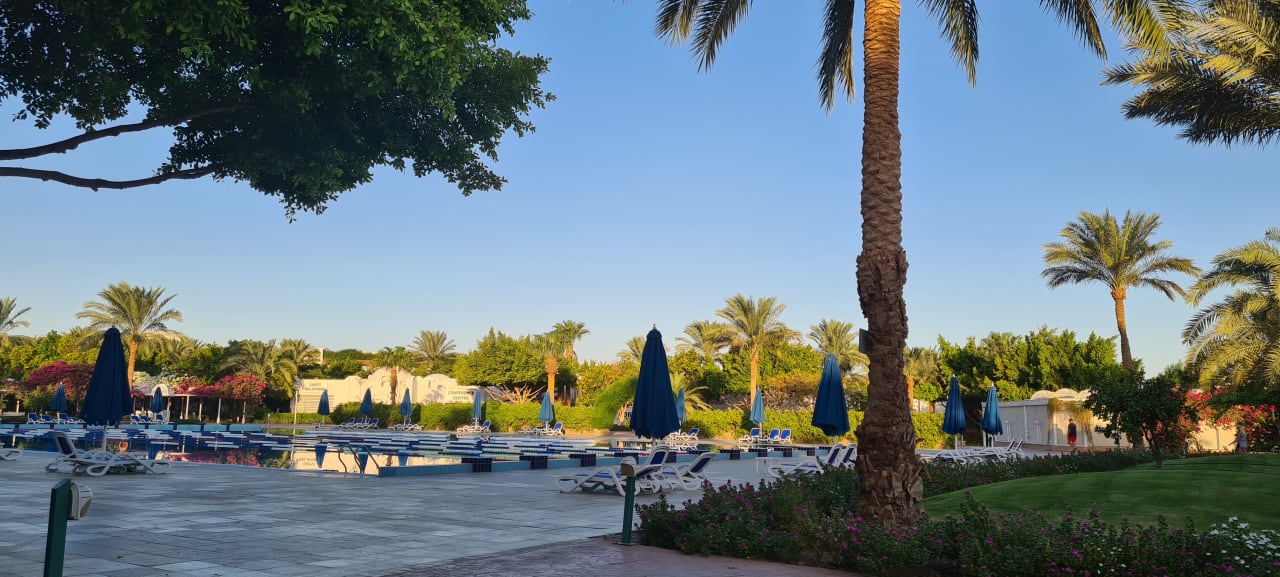 Außenansicht Desert Rose