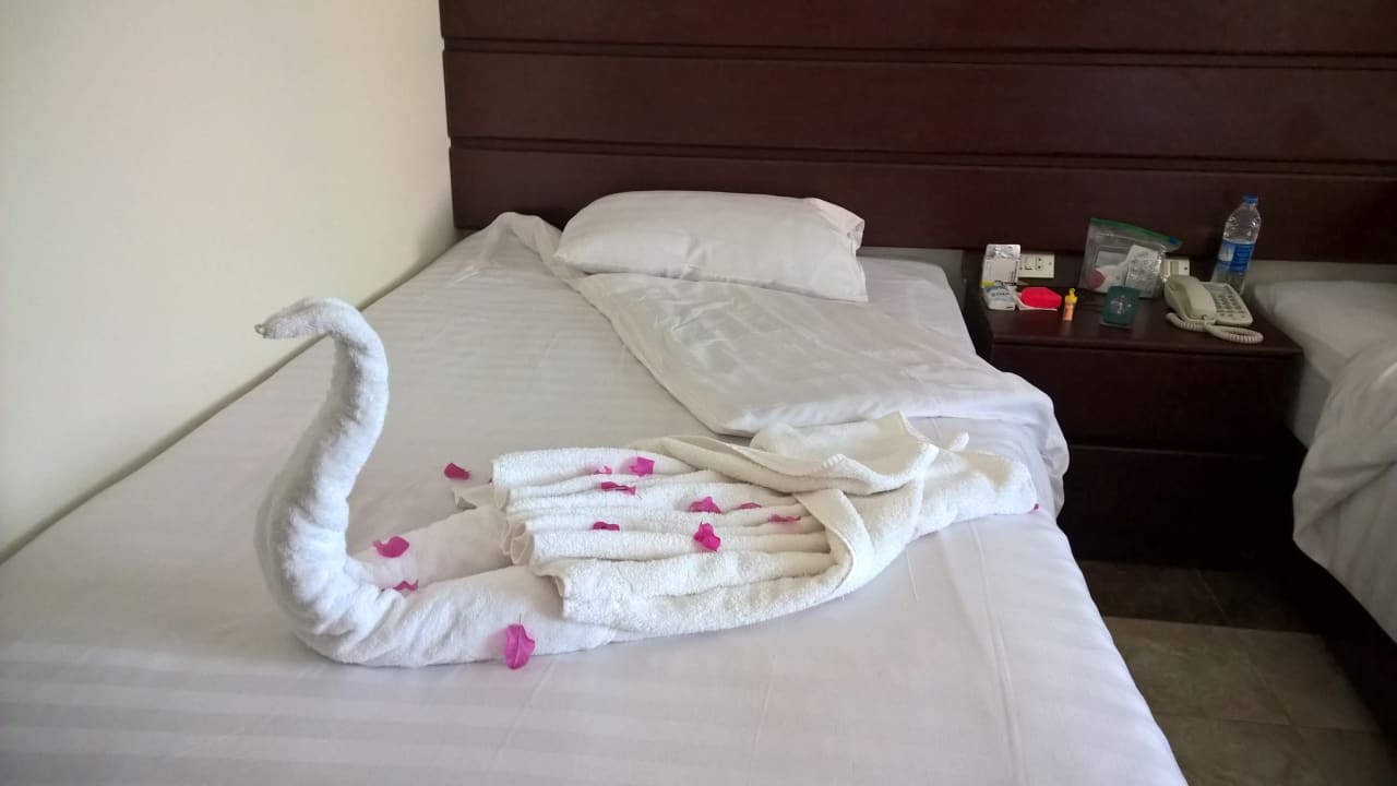 Zimmer Three Corners Equinox Beach Resort