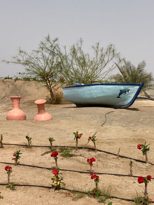 Gartenanlage Steigenberger Coraya Beach - Adults only