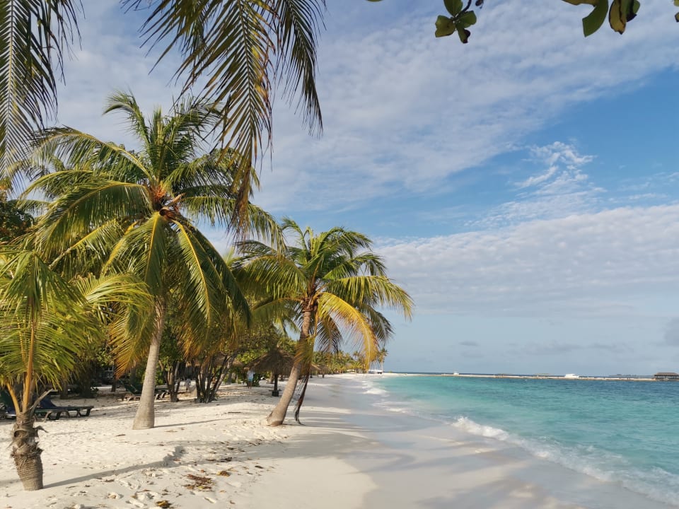 Außenansicht Kuredu Island Resort & Spa