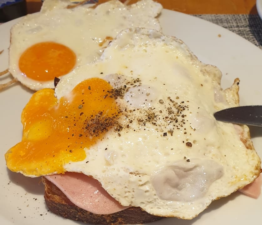 Gastro Cactus Beach