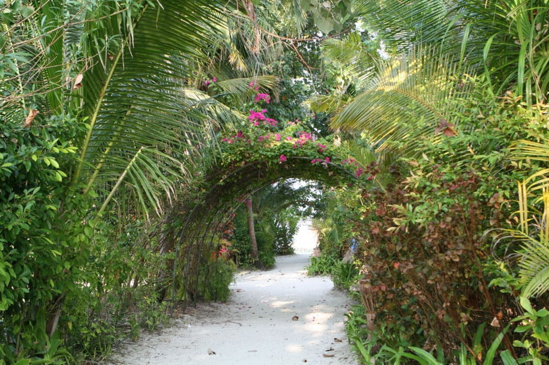 Im inneren der Insel Veligandu Maldives Resort Island