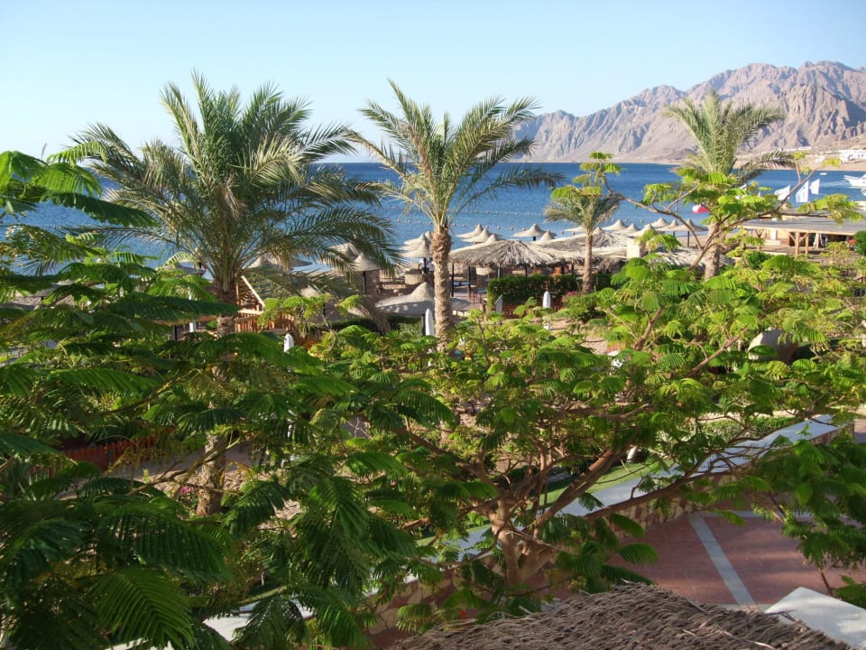 Vom Balkon JAZ Dahabeya