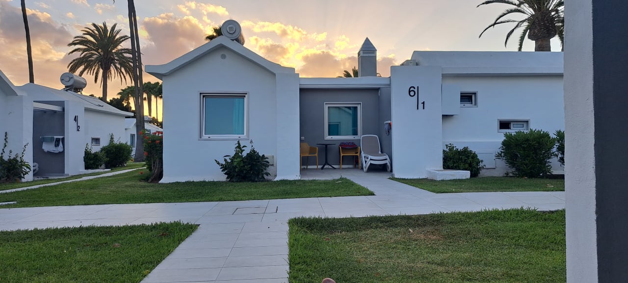 Zimmer Canary Garden Club