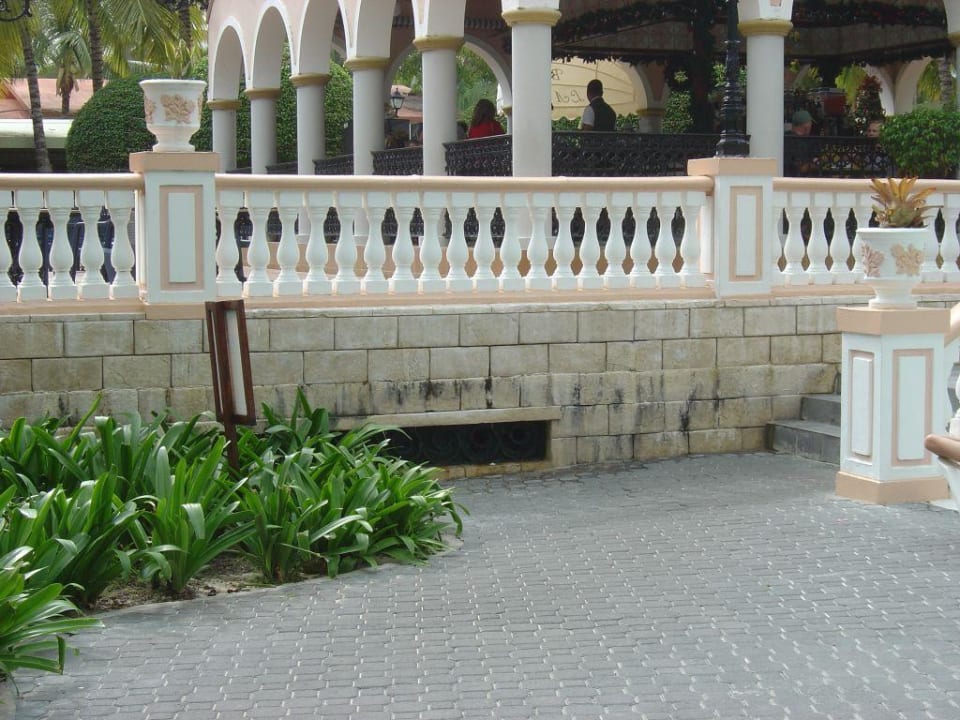 Poolanlage Hotel Riu Bambu