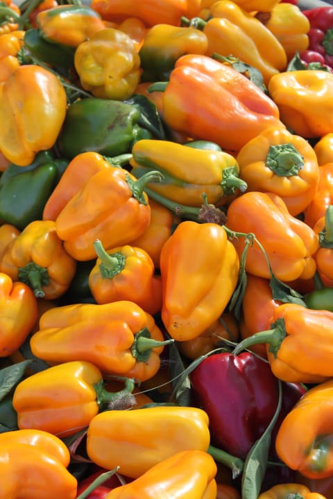 Die eigenen Peperonis Casa Colonica Liliane