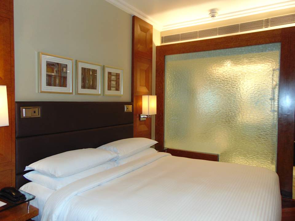 Zimmer Hotel Hyatt Regency Delhi