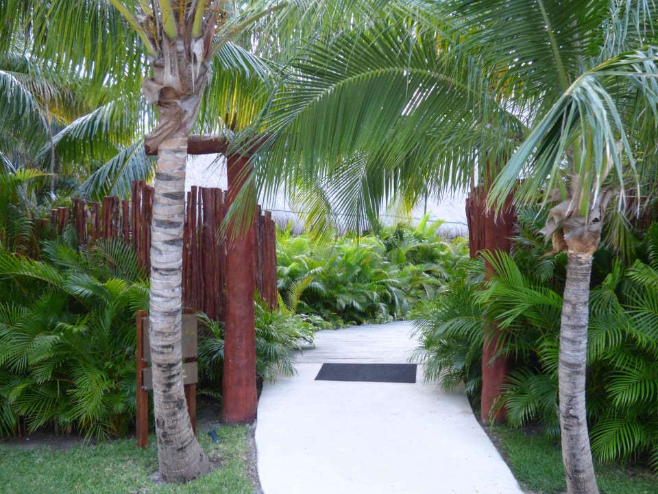 Weg zum Spa Akumal Bay Beach & Wellness Resort