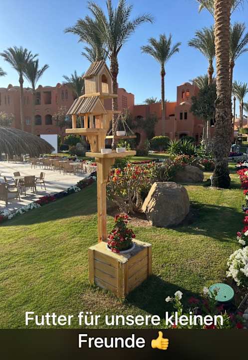 Außenansicht Jaz Makadi Oasis Resort