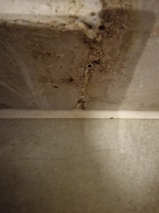 Zimmer Pickalbatros Citadel Resort