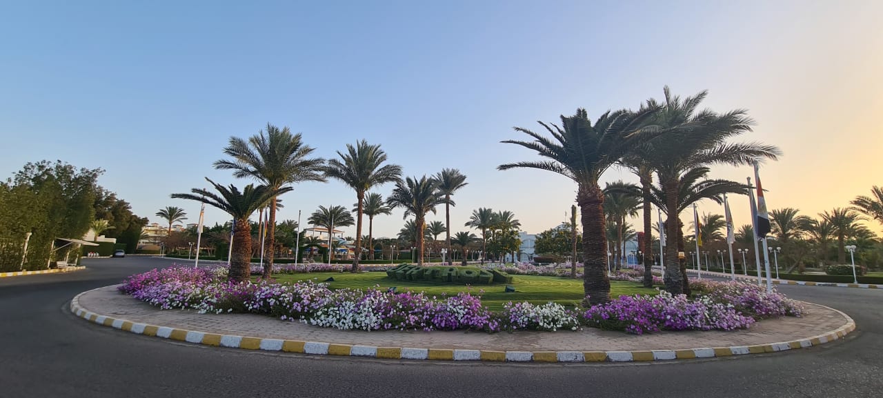Ausblick Desert Rose