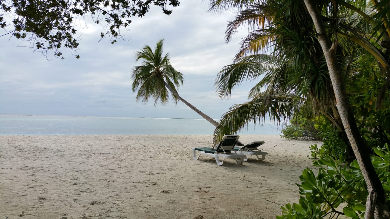 Strand Meeru Maldives Resort Island