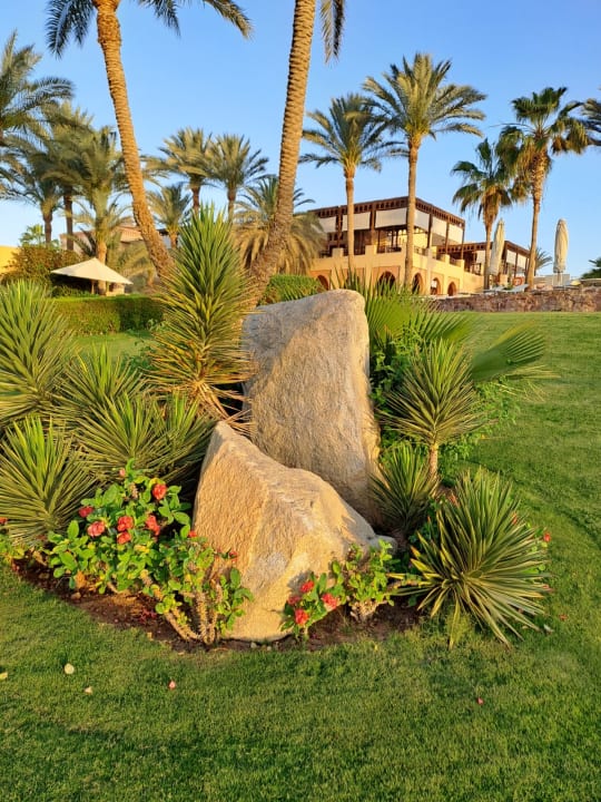 Gartenanlage Steigenberger Coraya Beach - Adults only