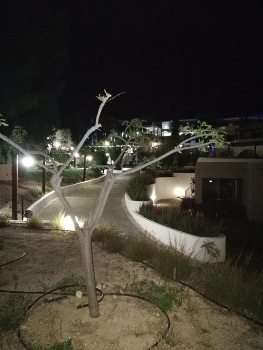 Gartenanlage alltoura Club Hotel Porto Angeli Beach Resort