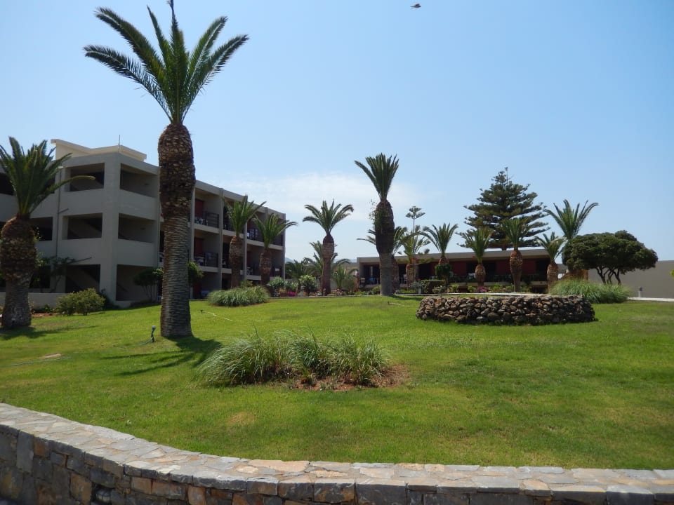 Gartenanlage allsun Hotel Malia Beach