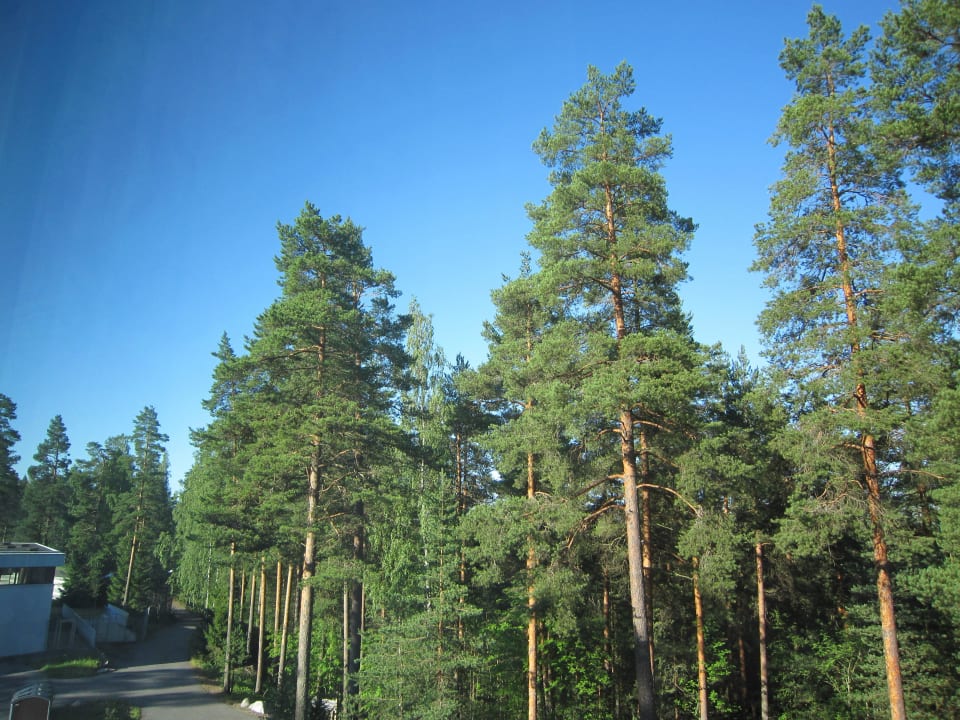 Blick aus dem Zimmer Hotel Sveitsi