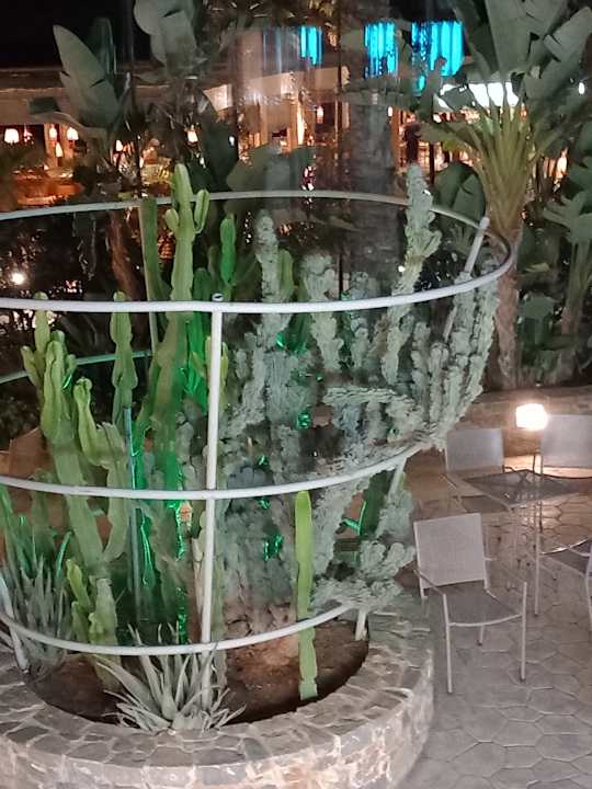 Außenansicht Cactus Beach