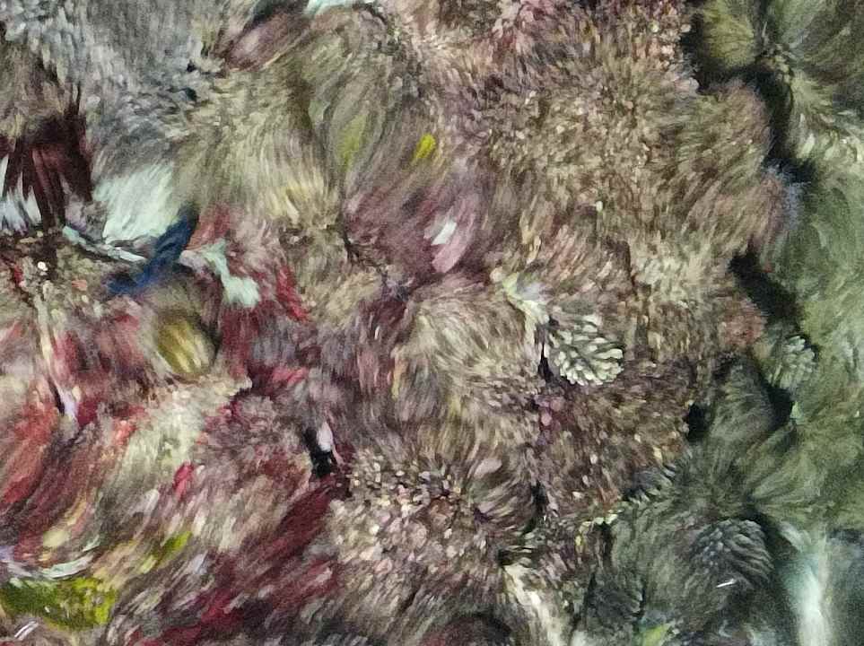 Sonstiges Arabella Azur Resort