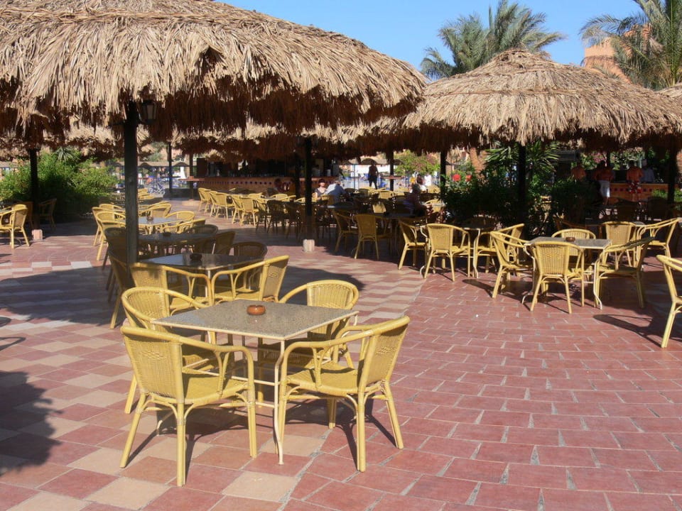 Poolbar Jaz Makadi Oasis Resort