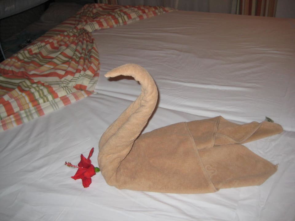 Nettes Handtuch. SBH Hotel Taro Beach