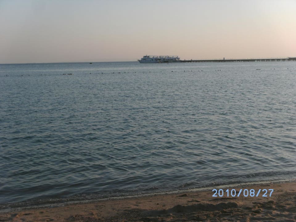 Morgens um 6 Pickalbatros Dana Beach Resort - Hurghada