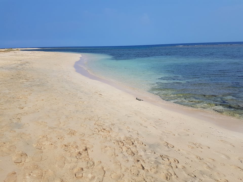 Strand Shams Alam Beach Resort