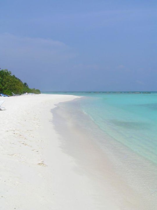 Traumstrand Summer Island Maldives