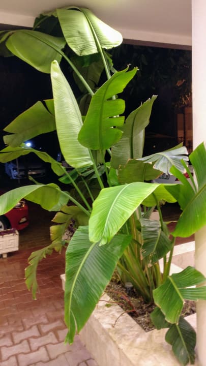 Sonstiges Nerton Hotel - Erwachsenenhotel ab 16 Jahren