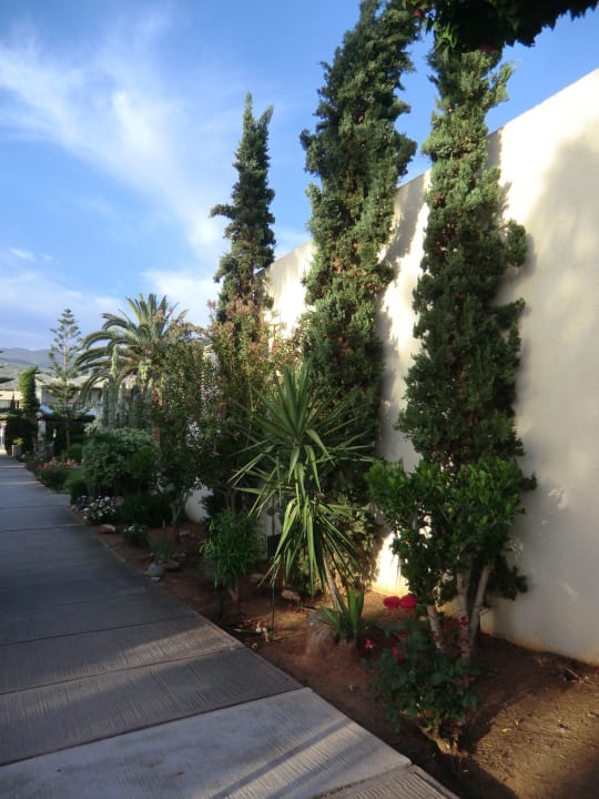 Beflanzung an Weg Phãea Cretan Malia