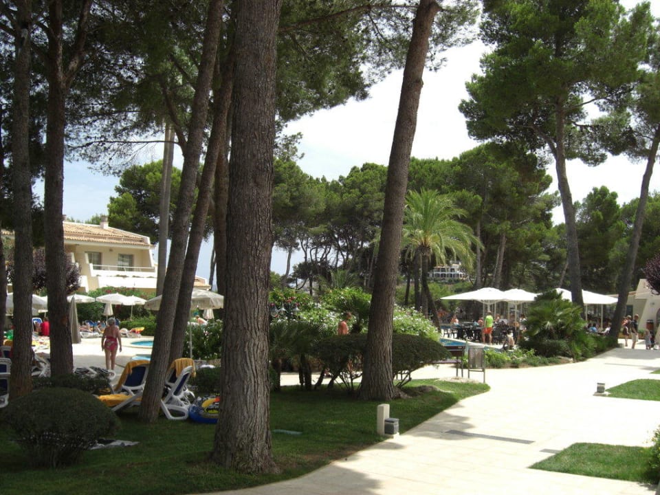 Blick von unserer Terrasse auf die Poolanlage Iberostar Waves Pinos Park