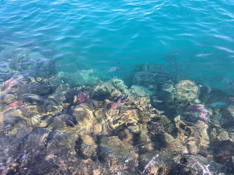 Strand Marina Lodge At Port Ghalib