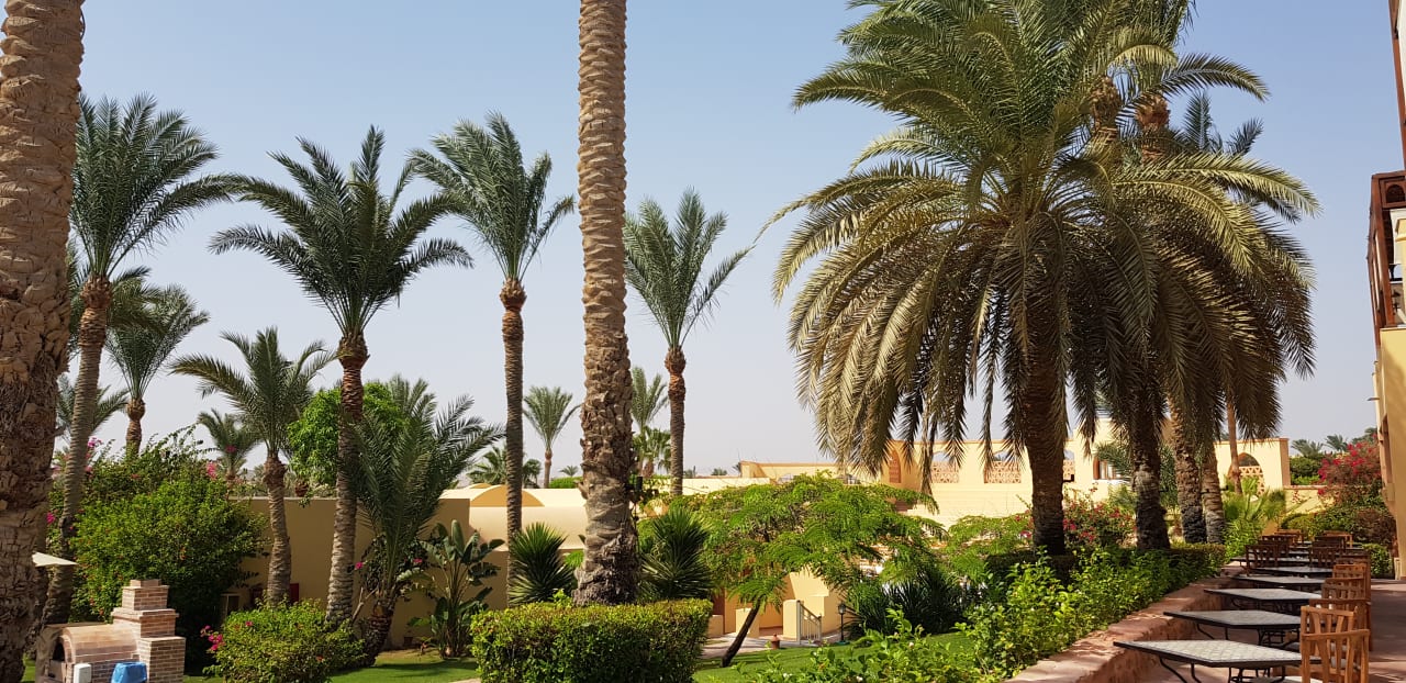 Gartenanlage Steigenberger Coraya Beach - Adults only